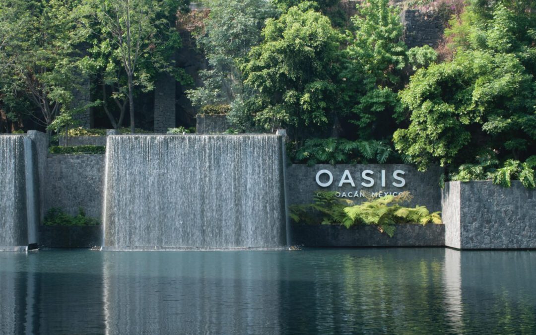 Oasis